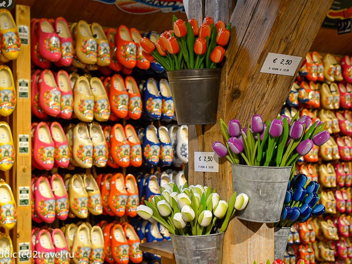 Нідерланди - Амстердам - тюльпани