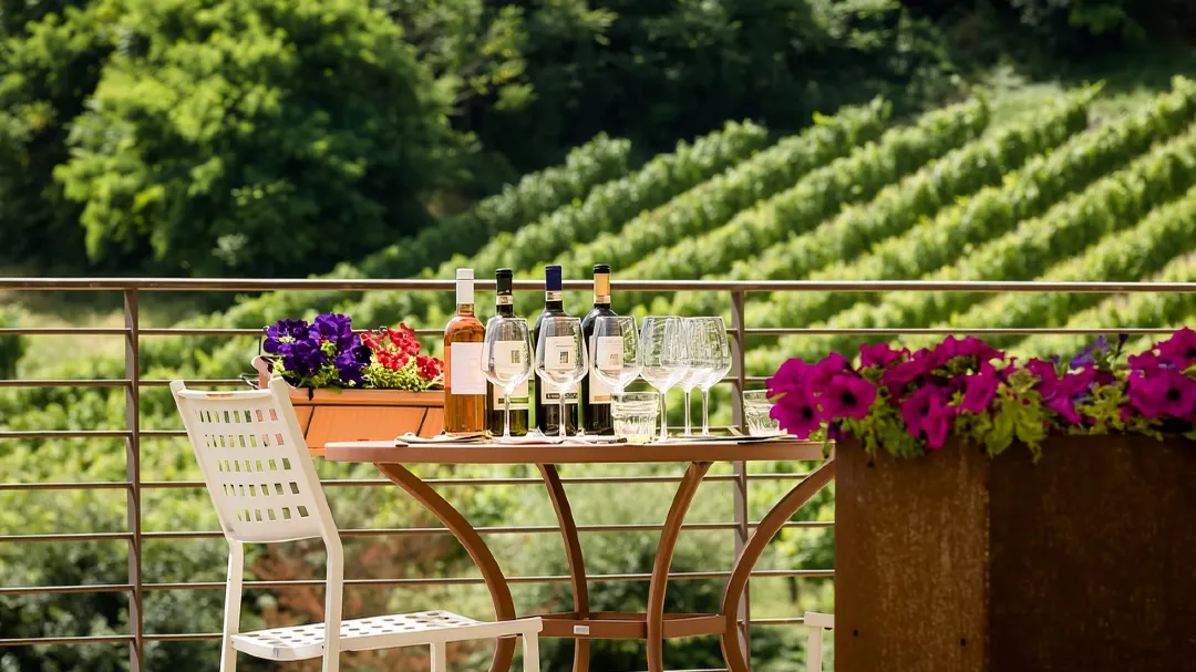 Шталія - Сан Джиміньяно - дегустація вина 2