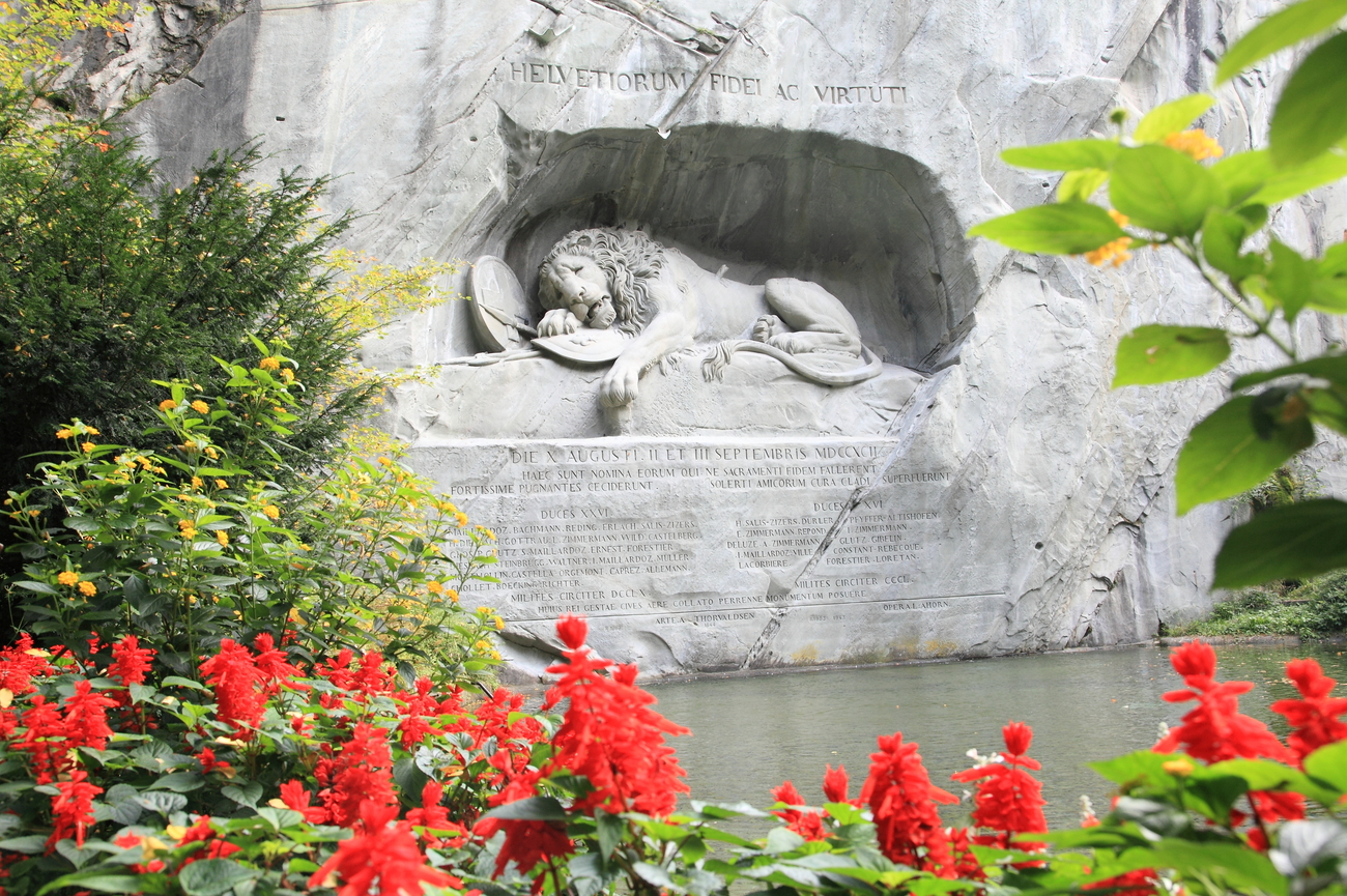 The,Famous,Dying,Lion,Monument,Of,Lucerne,,Framed,By,Flowers