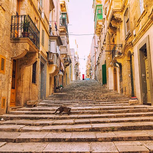 Long stairs going up in narrow street in Valetta, a cat in the middle of the street. Old houses with  typical balconies, capital city of Malta.