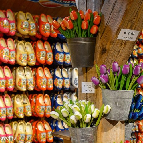 Нідерланди - Амстердам - тюльпани