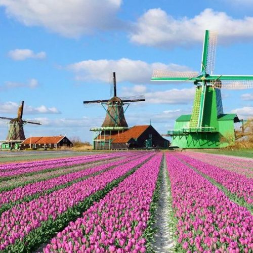 Нідерланди - Заансе Сханс 1